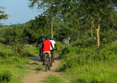 image_lake_mburo_national_park_cycling_in_uganda_bsw_travel