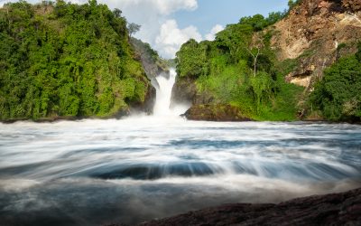 Activities in Murchison Falls National Park/ Uganda Wildlife Safari/ Uganda Safari