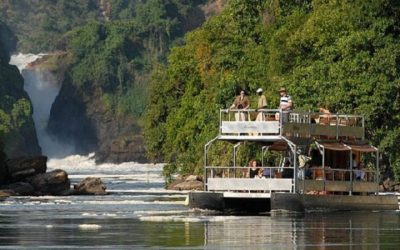 Park Entry Fees to Murchison Falls National Park